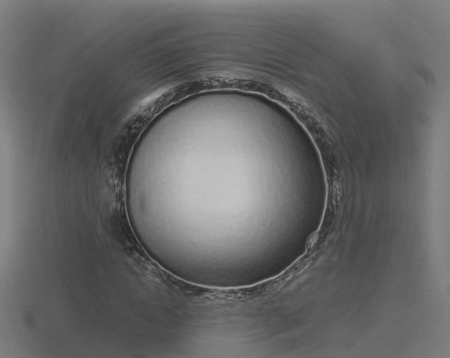 X0000116840822200912241226