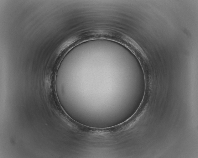 X0000116840826200912241227