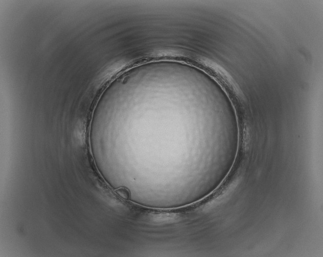 X0000116840833200912241227