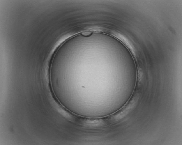 X0000116840843200912241227