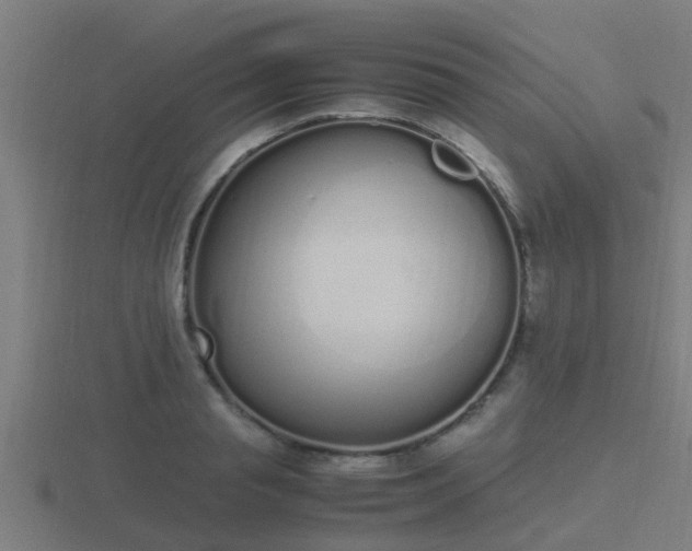 X0000116840845200912241227