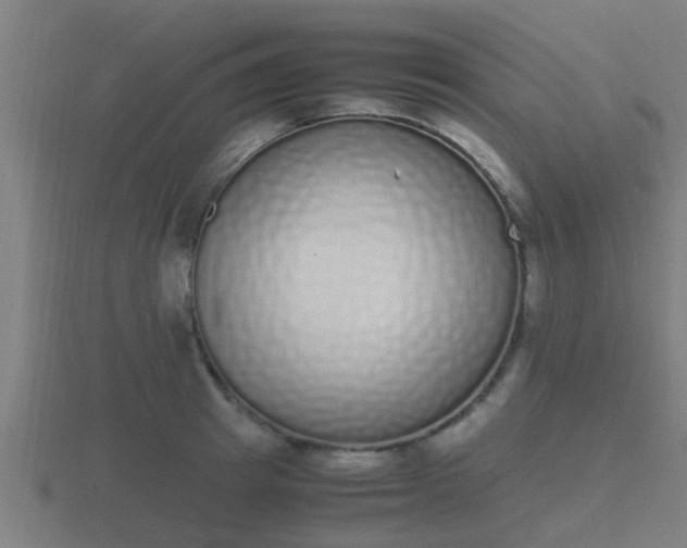 X0000116840849200912241227