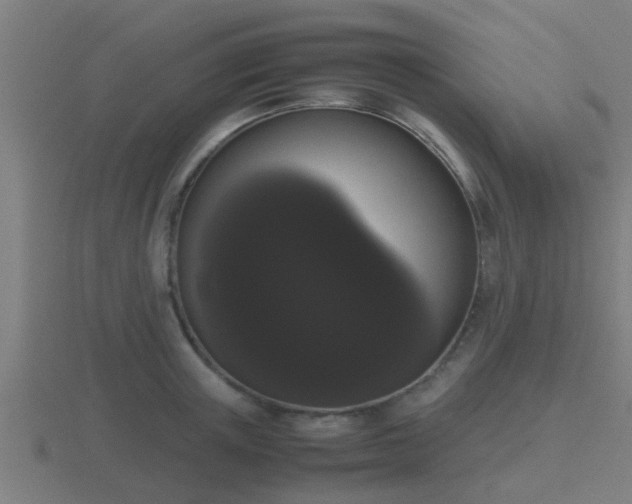 X0000116840851200912241227