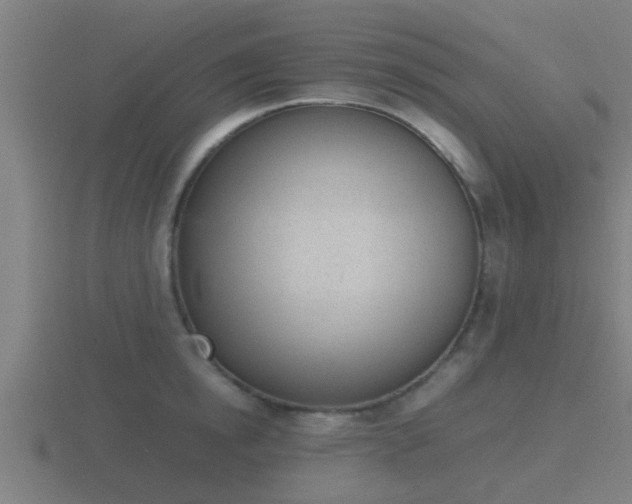 X0000116840854200912241227