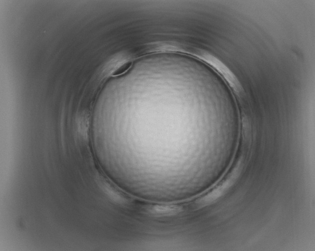 X0000116840857200912241227