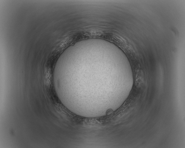 X0000116840866200912241226