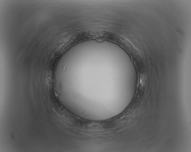 X0000116840867200912241226