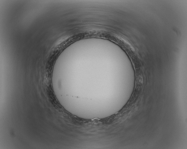 X0000116840869200912241226