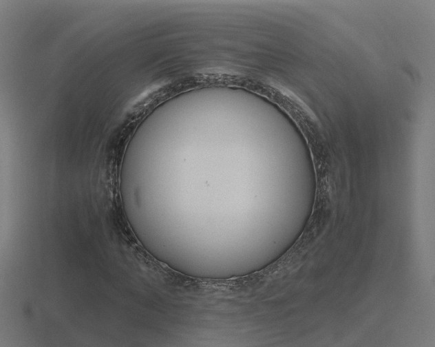X0000116840870200912241226