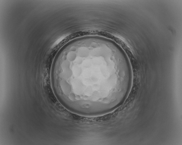 X0000116840871200912241226