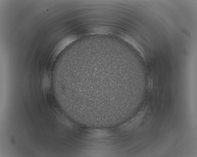 X0000116840874200912241226