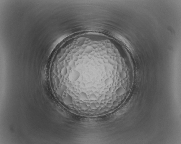 X0000116840875200912241226
