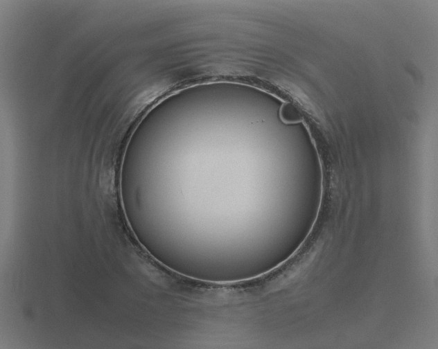 X0000116840881200912241226