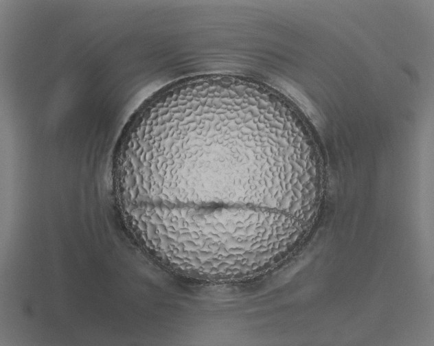 X0000116840883200912241226