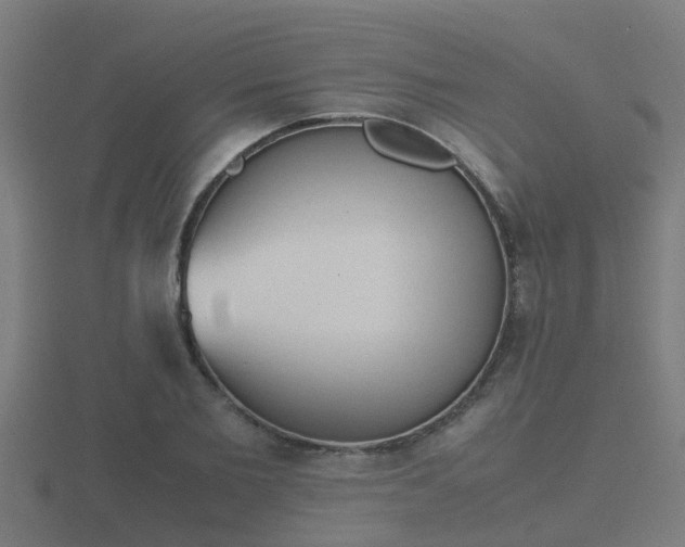 X0000116840885200912241226