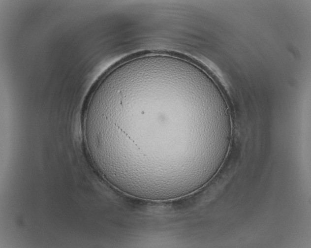 X0000116840887200912241226
