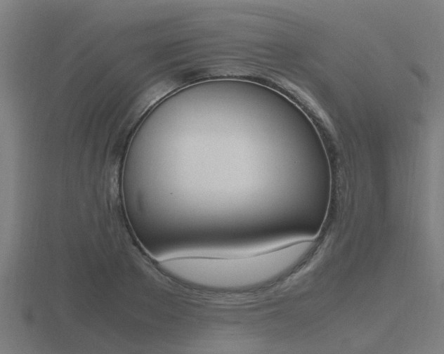 X0000116840889200912241226