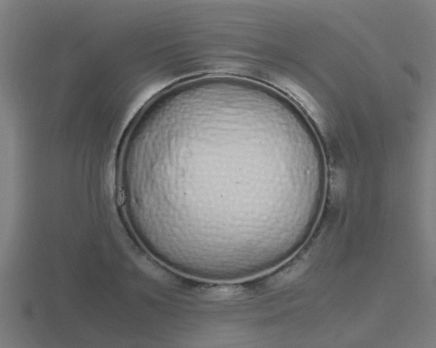 X0000116840891200912241226