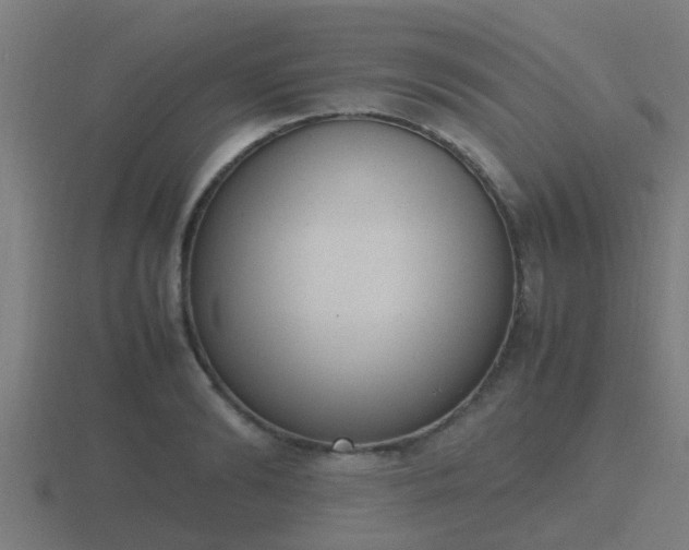 X0000116840894200912241226
