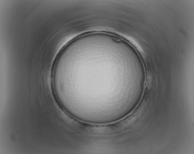 X0000116840895200912241226