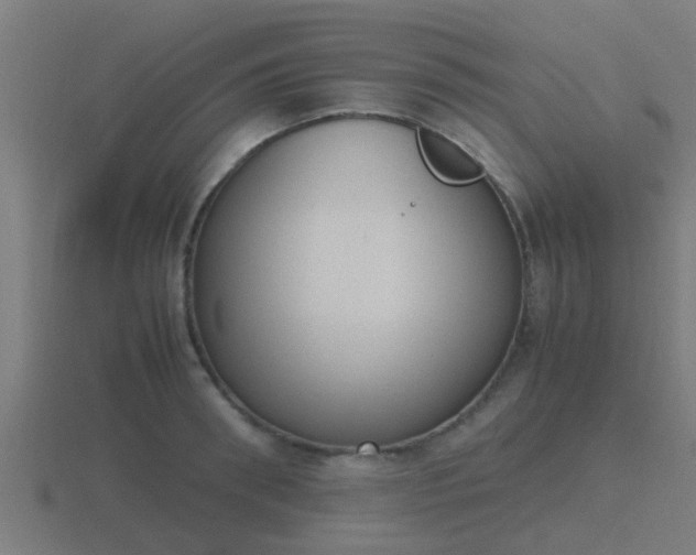 X0000116840898200912241226