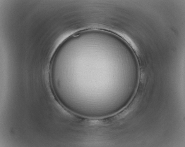 X0000116840903200912241226