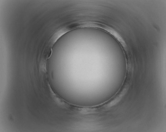 X0000116840905200912241226
