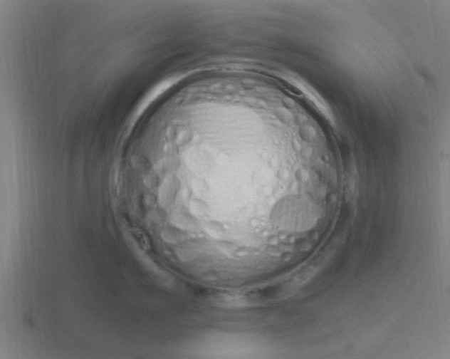 X0000116840911200912241226