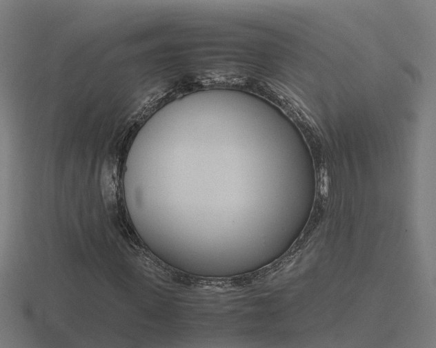 X0000116840915200912241225