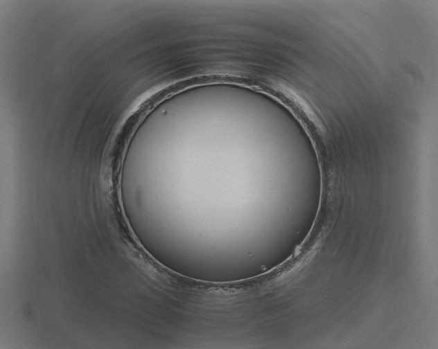X0000116840923200912241225