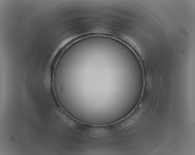 X0000116840931200912241225