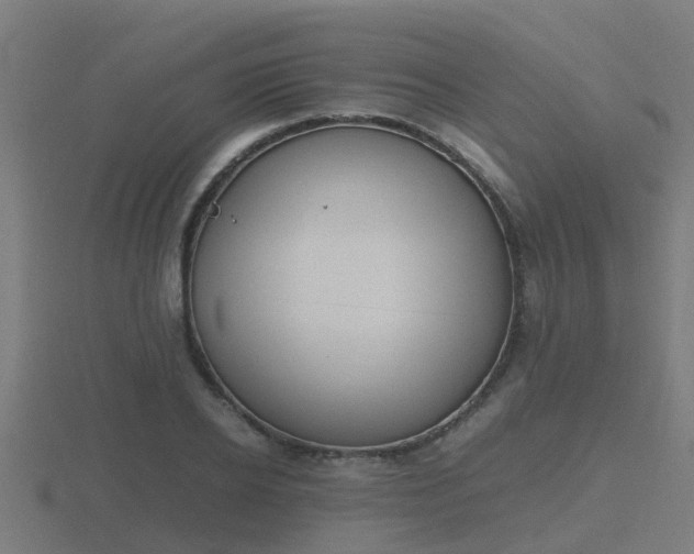 X0000116840934200912241225