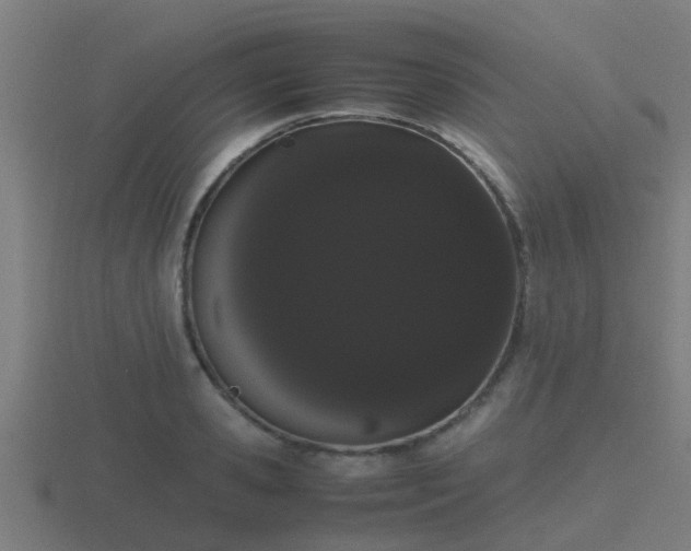 X0000116840941200912241226