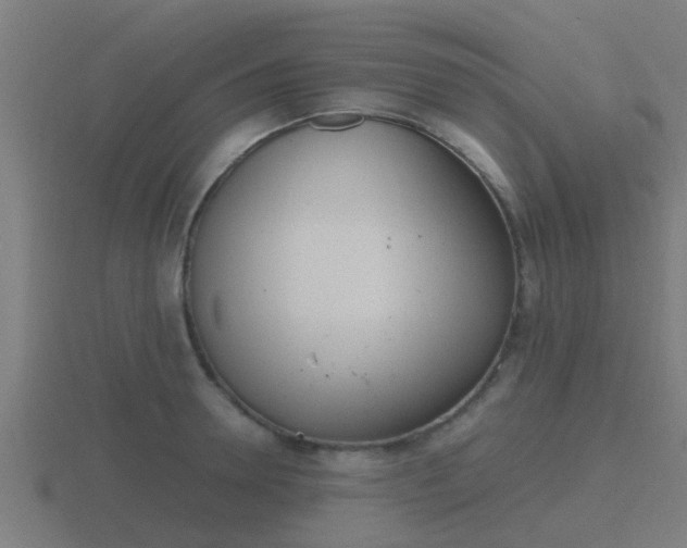 X0000116840946200912241226
