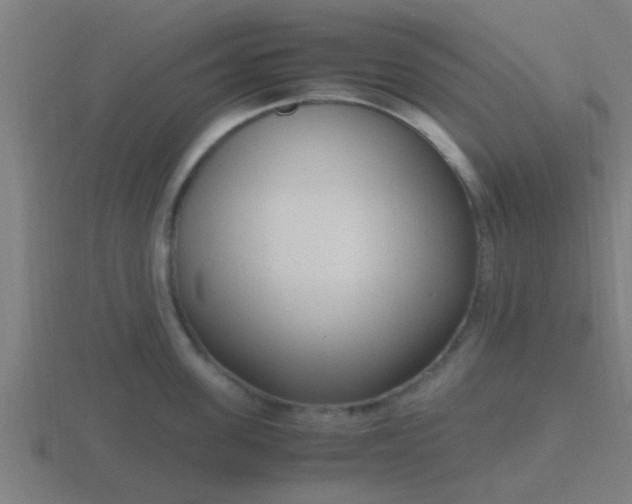 X0000116840955200912241226