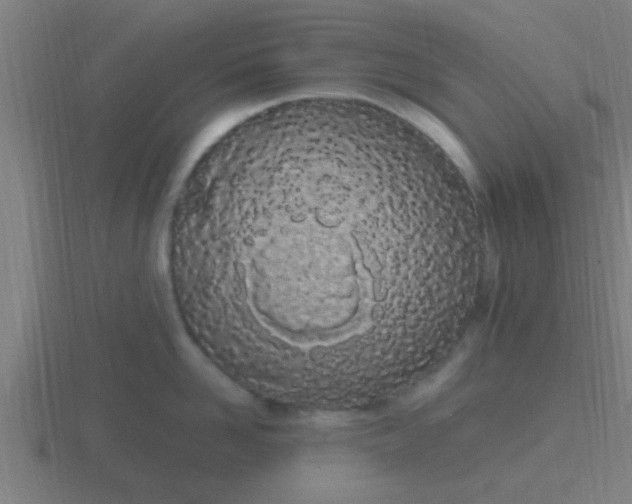 X0000116840958200912241226