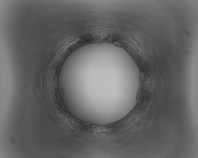 X0000116840961200912241225