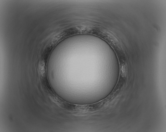 X0000116840963200912241225