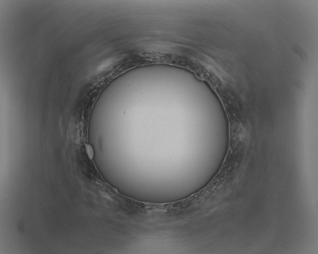 X0000116840965200912241225