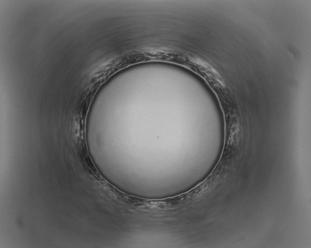 X0000116840966200912241225