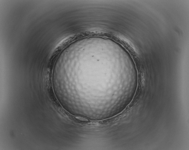 X0000116840968200912241225