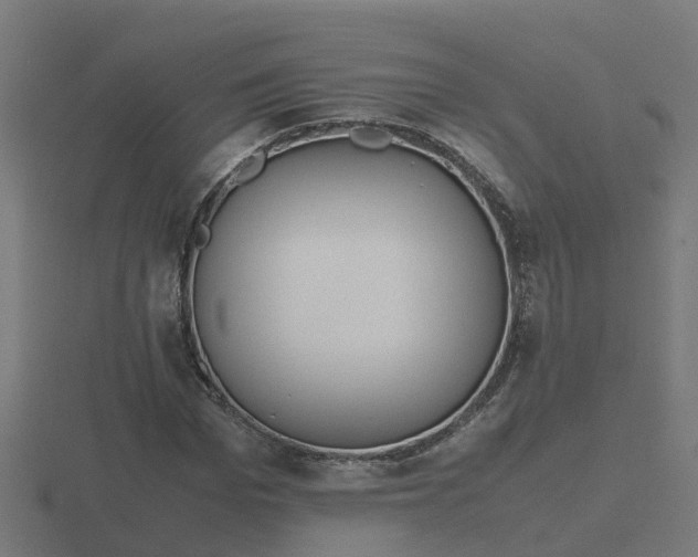 X0000116840969200912241225