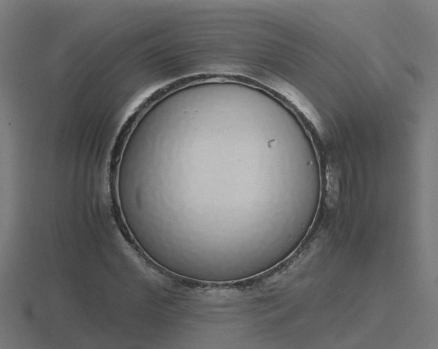 X0000116840972200912241225
