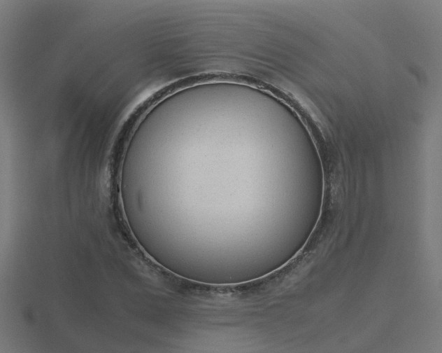X0000116840975200912241225