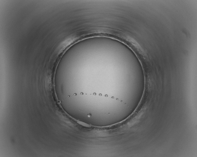 X0000116840977200912241225