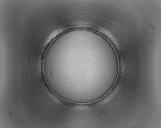 X0000116840978200912241225