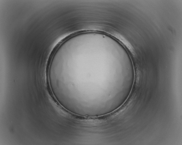 X0000116840980200912241225