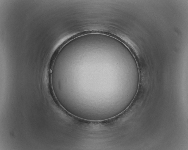 X0000116840983200912241225