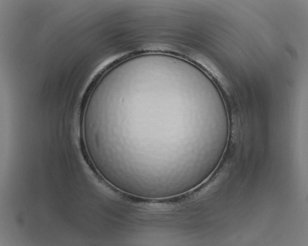X0000116840984200912241225