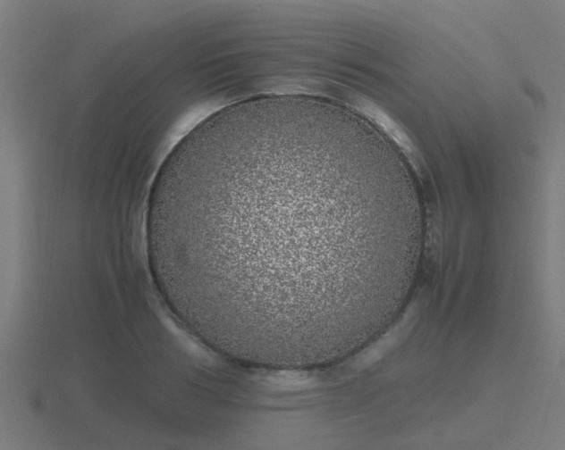 X0000116840986200912241225